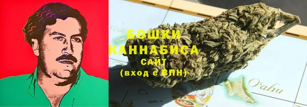 прущие грибы Алзамай