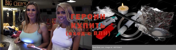 прущие грибы Алзамай