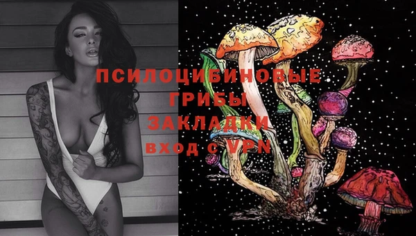 спиды Рославль