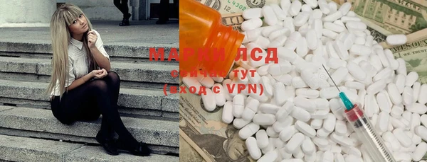 прущие грибы Алзамай
